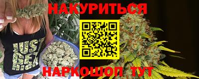 сатива Будённовск