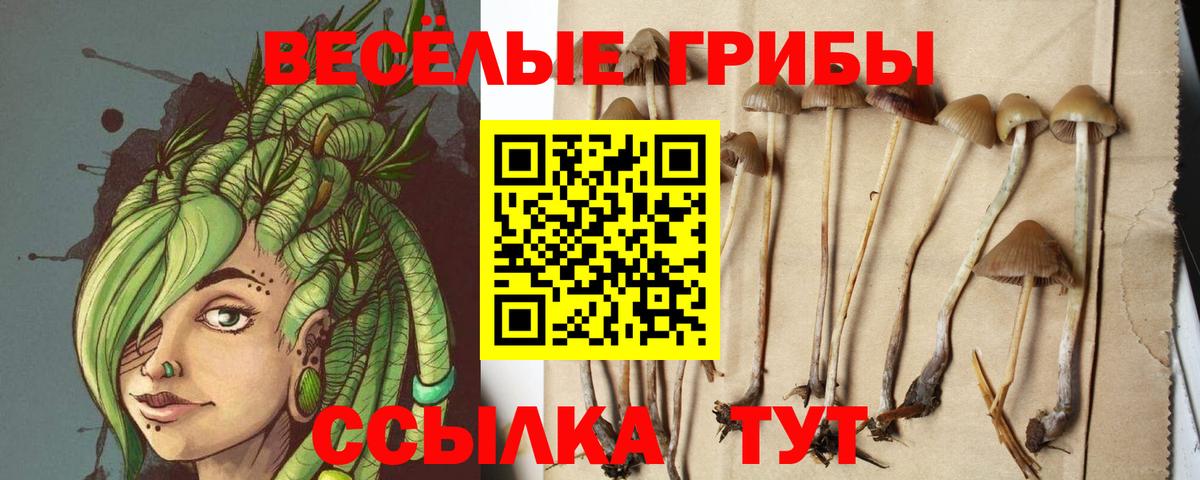 Пыть-Ях  Псилоцибиновые грибы мицелий  Вход с VPN 